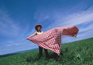 ジョイフル本田資材館伊勢崎韮塚町店：建築・作業現場を支える総合資材店
