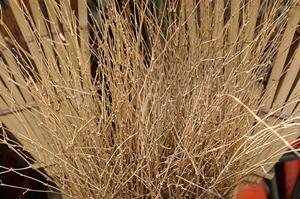 【2025年最新版】福岡の草刈り対策完全ガイド|効率的な方法とおすすめサービス